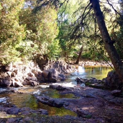 jasonklei's profile picture. Hard