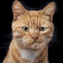 Debra Jo Flynn - @RurtBeynoldsJr - Twitter