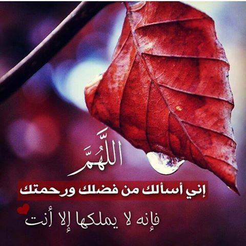 مسلم