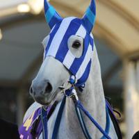 ブロコレさん (@heartscry_2001) Twitter profile photo