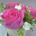 Fatima Assi - @fatima102assi - Twitter