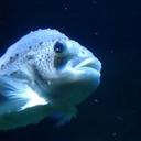 Andy Herzog - @andy_herzog - Twitter