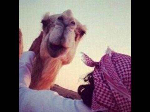 {الصوتيات في..المفضلة }♬♥.