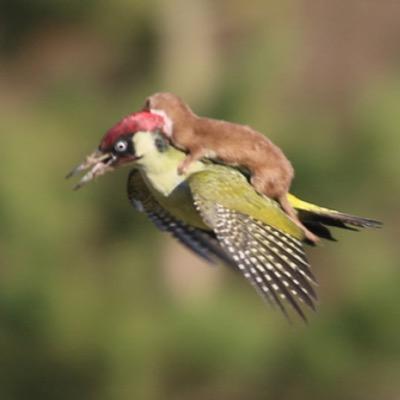 MyCaIIApp's profile picture. We support the rainforest with our software solutions.Saving the environment and your purse. For filmproductions.Check us out