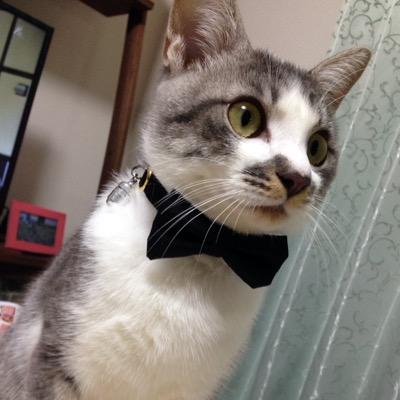 RokuROCK0720's profile picture. 