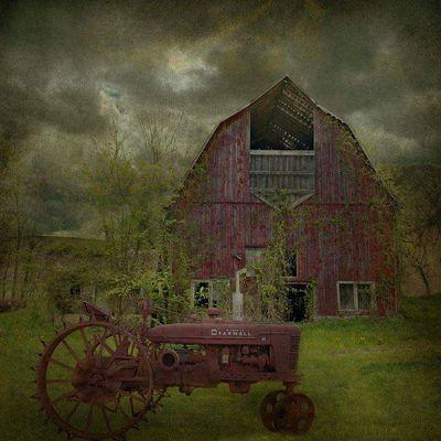 MySugarbee's profile picture. life is a joy!!