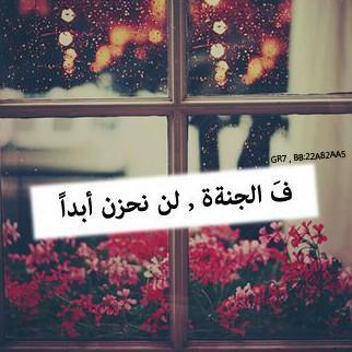 ‏‏‏‏‏‏‏‏‏سعادتيّ هِي رؤئيہ من احب بخير . .
فَ ي ربَ اجعلهم سّعداء اينما گآنوا ❤️