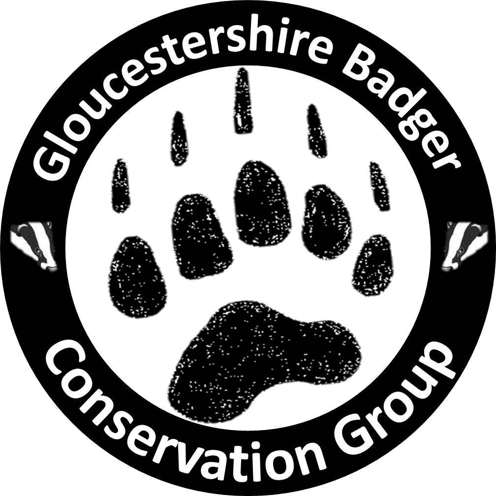 Glos Badger Conservation Group - An independent family friendly group dedicated to badger conservation and raising awareness of badgers across Gloucestershire.