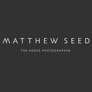 World renowned photographer Matthew Seed is known as The Horse Photographer. Pioneer of sculpting light around his equine subjects.