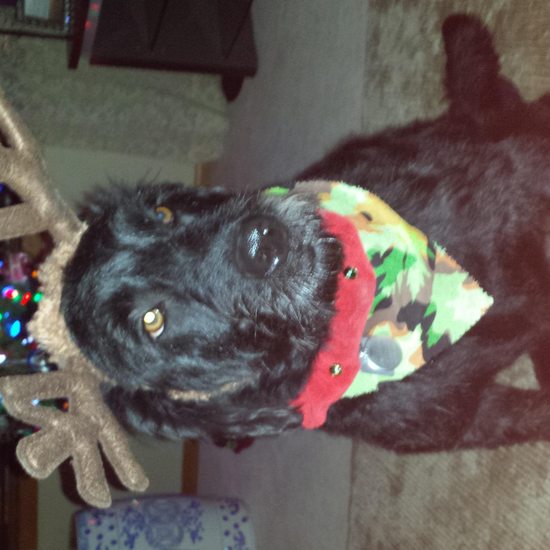 geri_howard's profile picture. 