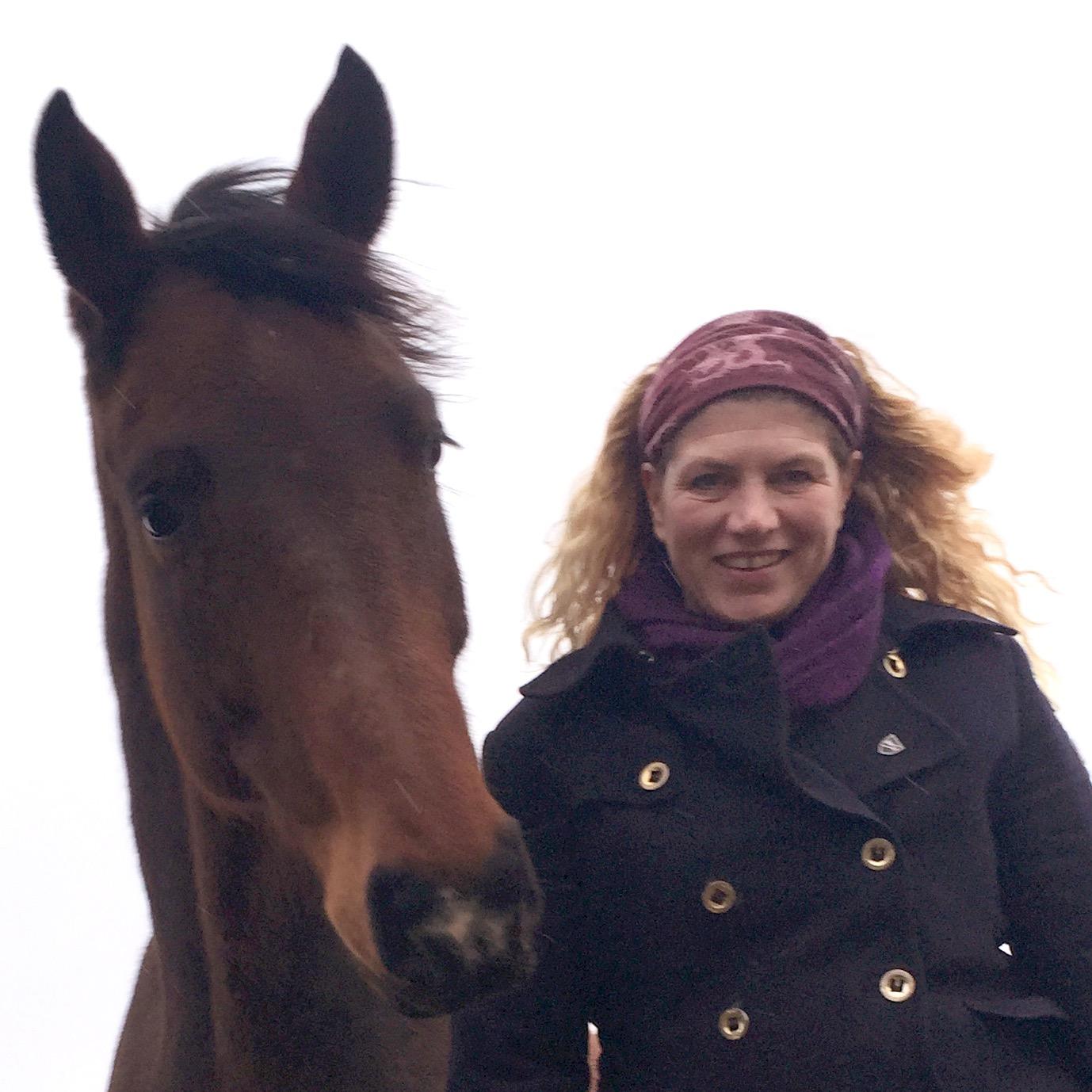 Inzicht-coaching Team- en individuele coaching met behulp van paarden. Tweet over tips om het beste uit jezelf of organisatie te halen.