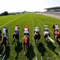 InspectorApuest's profile picture. 