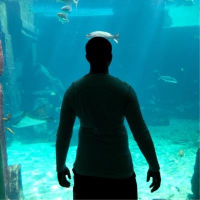 Crave Intellectual Stimulation | Tweet Occasionally