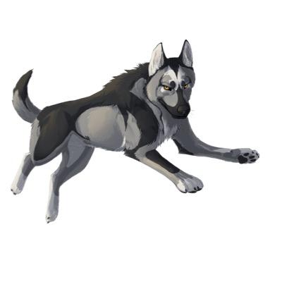 wolfpupmix's profile picture. m Ginmaru I'm part wolf so piss me off & I'll make you pay