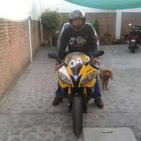 ENRIQUE MS (@luisen55) 's Twitter Profile