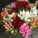 rafah ali - @rafahali_14408 - Twitter