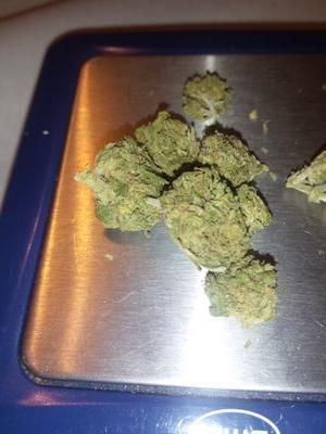 weed tweets