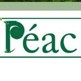 PÉAC (@peac_ucd) Twitter profile photo