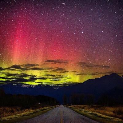 rnlmc71's profile picture. wereld burger