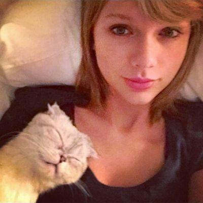 taysanchor Profile Picture