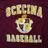 ScecinaBaseball's profile image