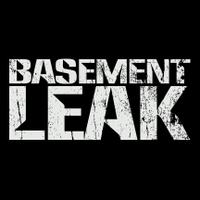 Basement Leak(@BasementLeak) 's Twitter Profileg
