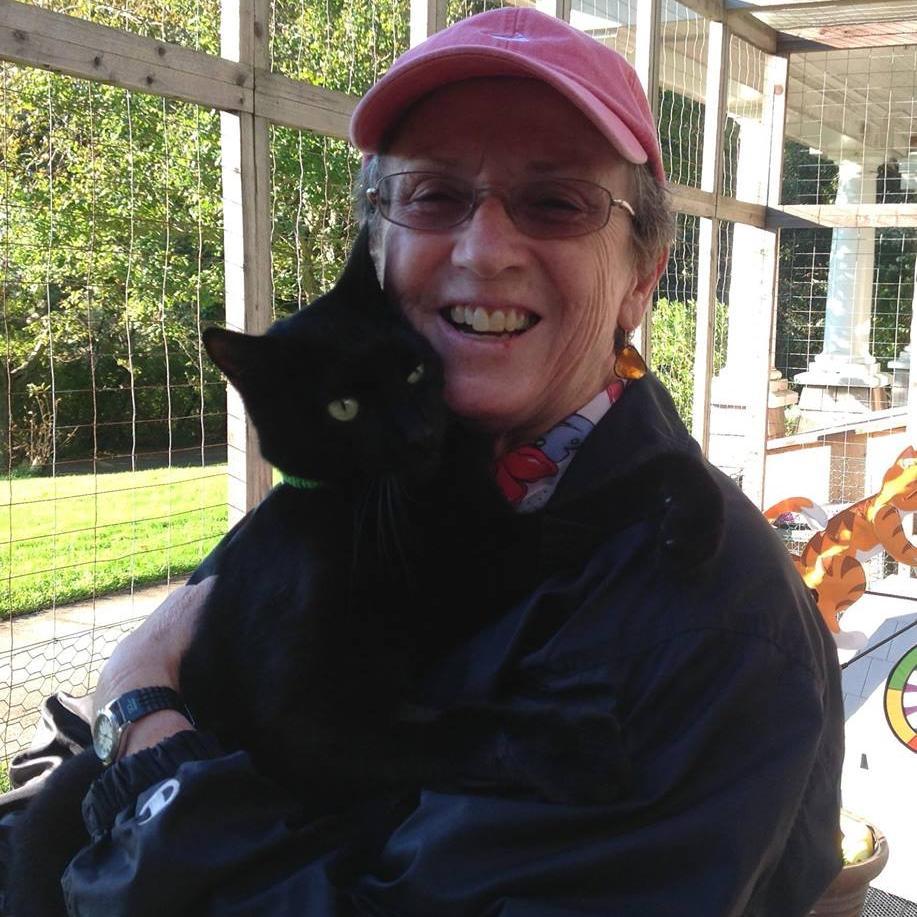 polpisval's profile picture. 