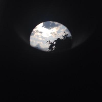 _beatriz_elena's profile picture. 