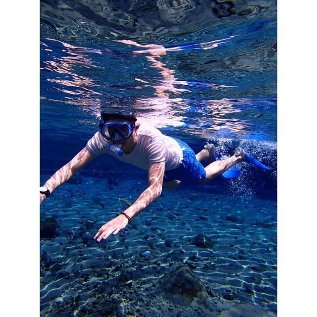 PiemonDoraemon's profile picture. 