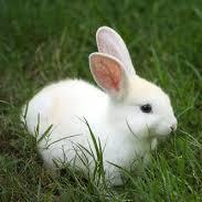 Vhievhi18's profile picture. Vhina Zhackaria - Follow me plz !