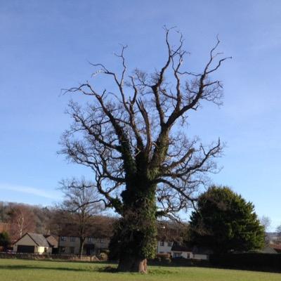 The latest news, tips and advice for those living in and visiting Corfe, Somerset.