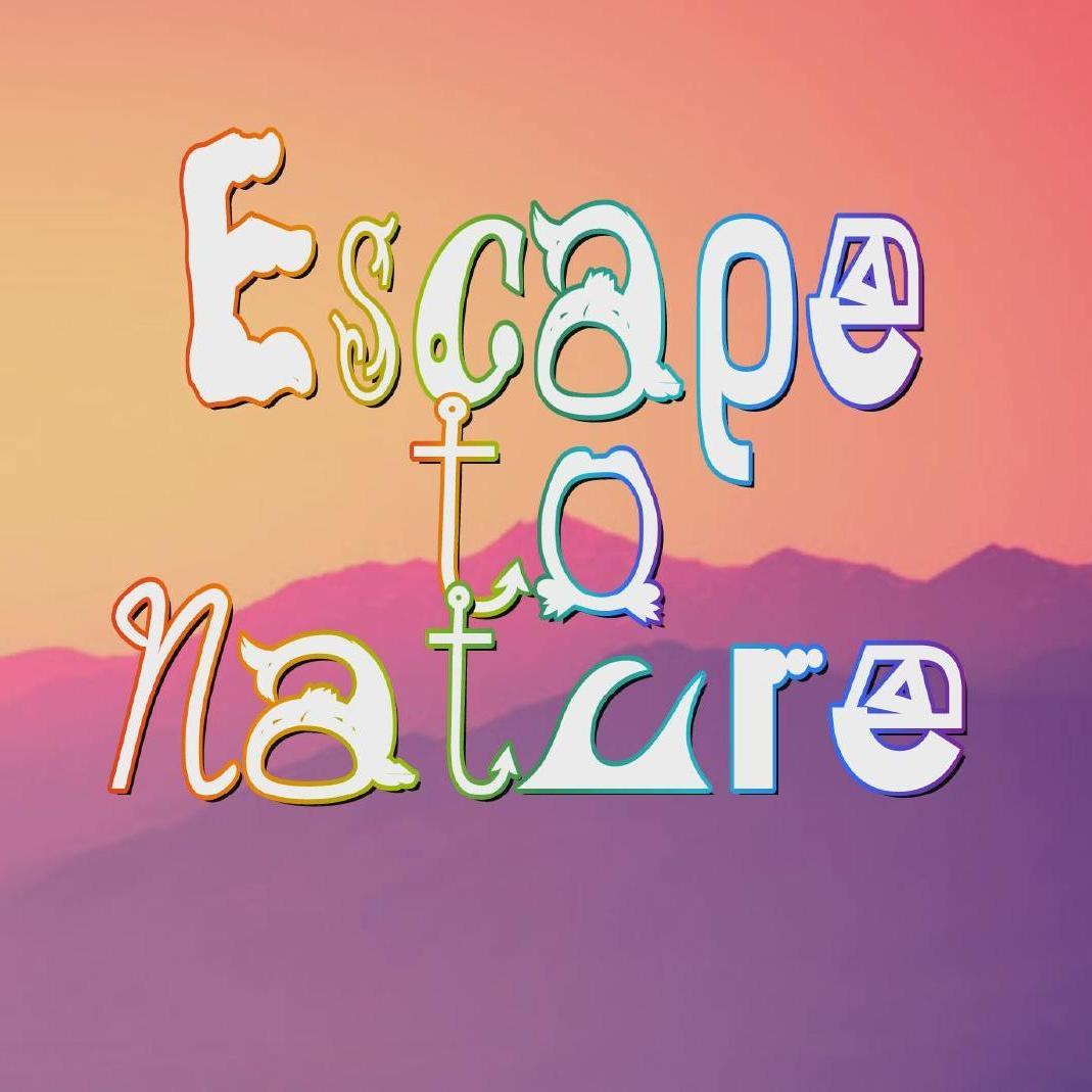 Relaxing Nature Videos
