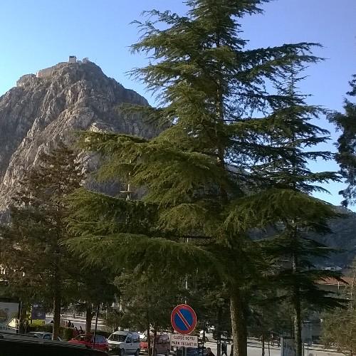 molla_musa's profile picture. 