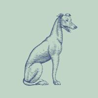 The Grey (@thegreysavannah) 's Twitter Profile