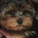 Sandra Gober - @GoberSandra - Twitter