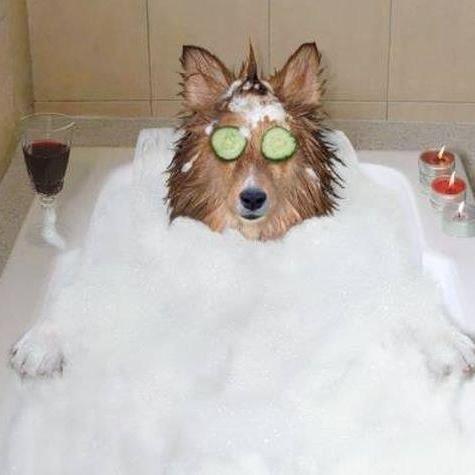 autoinsights22's profile picture. 