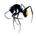 Ant Research CB (@antscience) Twitter profile photo Ant Research CB (@antscience) Twitter profile photo