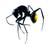 antscience's profile image