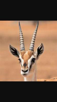 iTzCodriver's profile picture. 