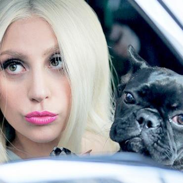 I am an little monster.