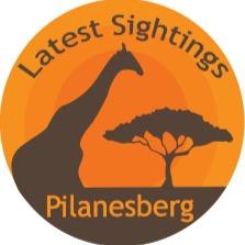 A croud sourced service that allows you to increase your wildlife sightings in the Pilanesberg National Park.