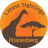 LatestPilanesBG's profile picture. A croud sourced service that allows you to increase your wildlife sightings in the Pilanesberg National Park.