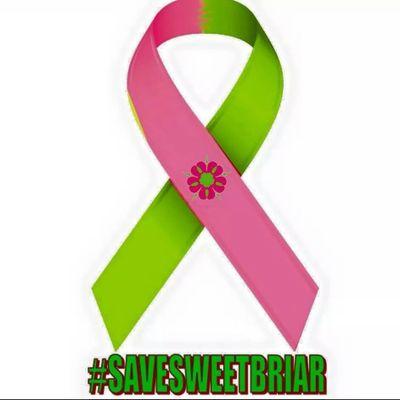 AnneSaelens's profile picture. I love and appreciate life...every minute of every day.