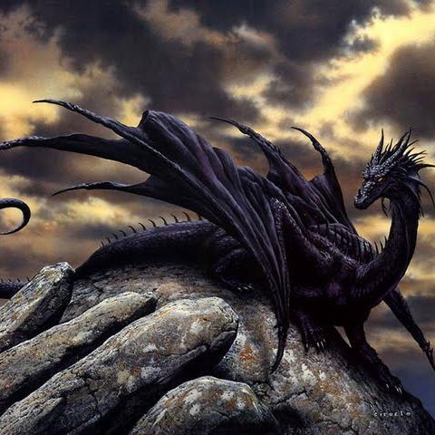 Shadow_Dragon__'s profile picture. Just a back up account now..