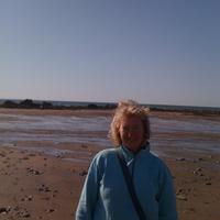Alison Hogg (@alisonhogg3) 's Twitter Profile
