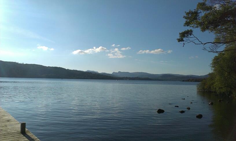 jophidee's profile picture. 