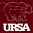 MSUursa's profile image