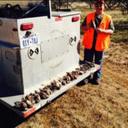 Shelton Walker - @sheltonwalker81 - Twitter