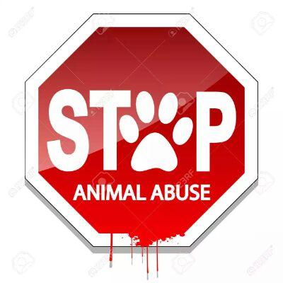 algunos dicen no al maltrato animal pero ven a un animal que nesecita ayuda o un hogar no los taman en cuenta