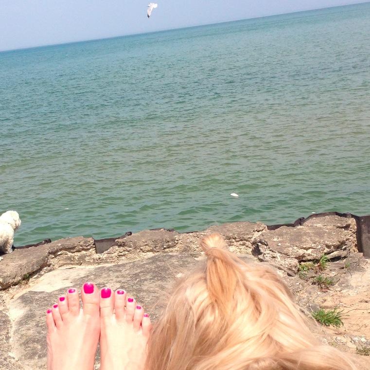 Writer. Storyteller. Dog Fanatic.